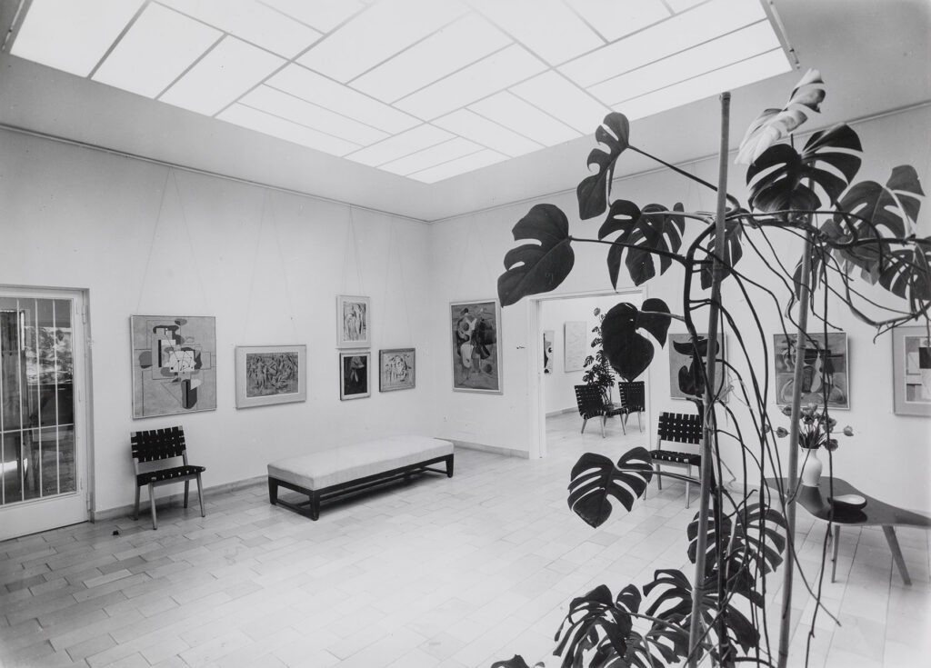 Ausstellungsansicht mit Pflanze im Bild und Möbel im Raum