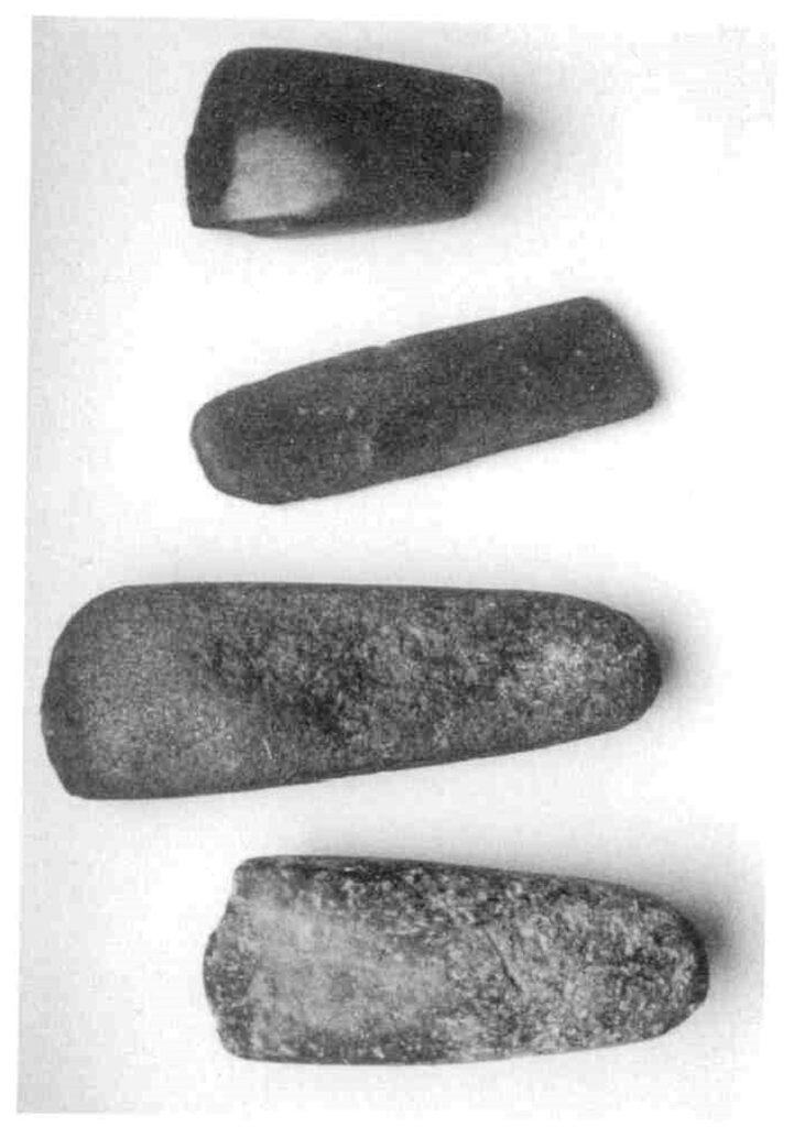 Arrangement von Steinen aus Willi Baumeisters Sammlung