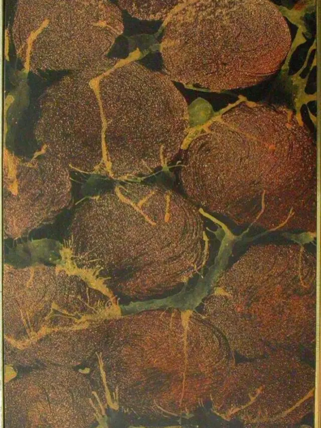 Der Künstler als Material(geschichts)forscher. Willi Baumeister zwischen Wuppertal und Stuttgart.
Baumeisters Versuchstafeln sind geprägt durch ein Verständnis, dass Farbe nur eines von vielen Materialien ist, die sich auf den Bildträger auftragen lassen. So streut er beispielsweise Sand in den noch feuchten Lack. In anderen Tafeln setzt er blockhafte Farbtupfer nebeneinander oder trägt verdünnte Spachtelmasse auf.
Mehr zum Thema auf: www.sammlung.kunstmuseum-stuttgart.de/raum/laboratorium-lack
📸 Willi Baumeister, ohne Titel, 1941
#willibaumeister#archivbaumeister#willibaumeisterstiftung#laboratoriumlack#wuppertal#stuttgart#sammlung#kunstmuseumstuttgart#forschung