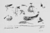 Zeichnung von Willi Baumeister: Schwebende Welt (WVZ-2082)